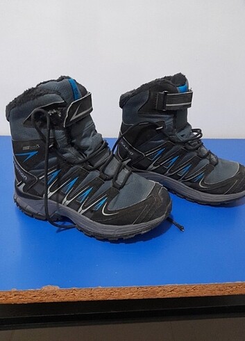 Salomon Salomon bot