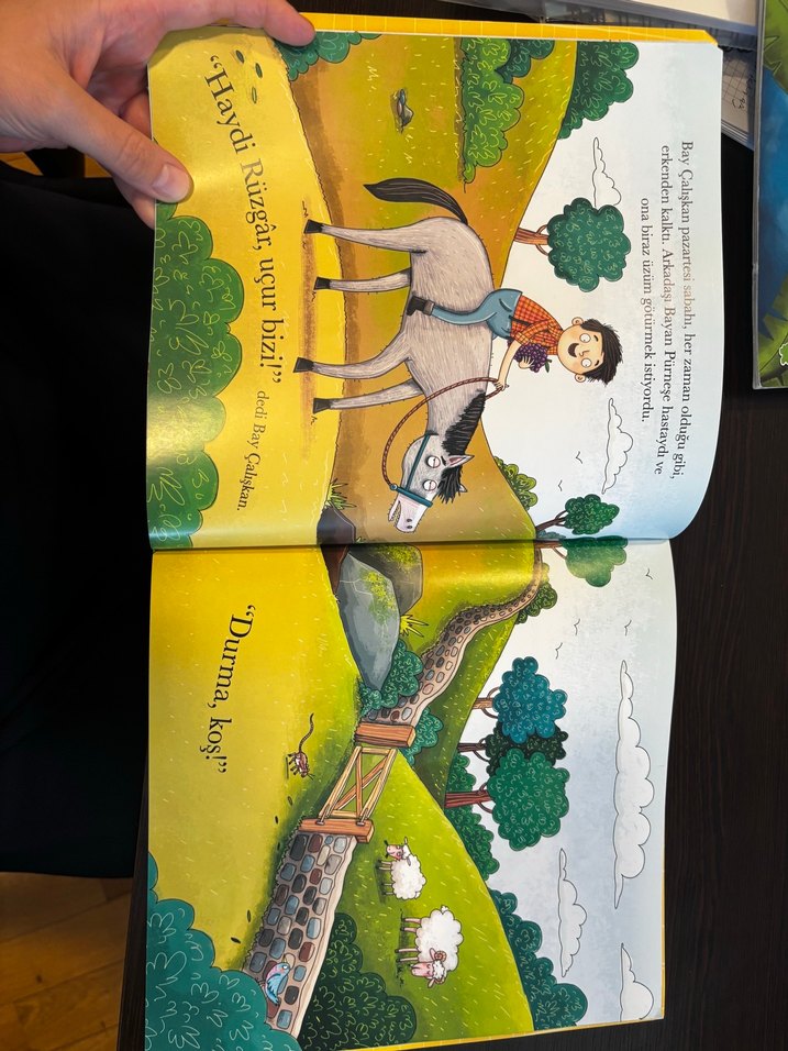 Dünyanın En Tembel Atı: Rüzgar - Görsel 2