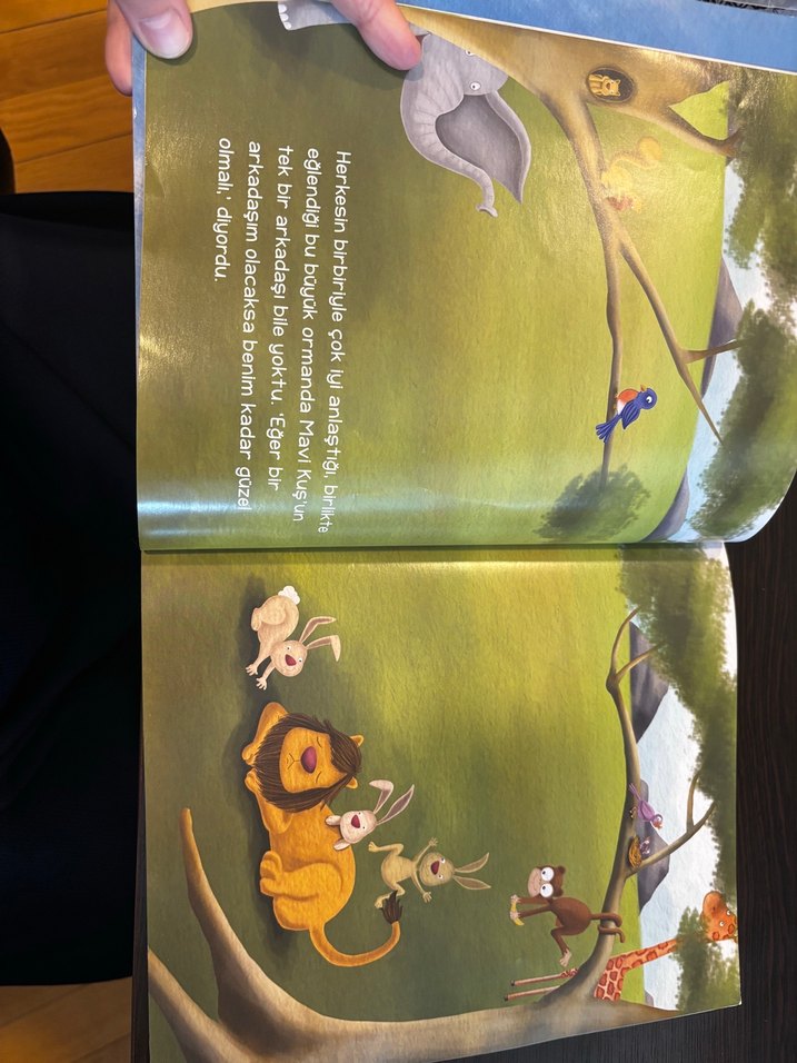 Mavi Kuş - Çocuk Kitabı - Görsel 2