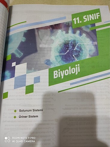 xl Beden Sınav 11.sınıf