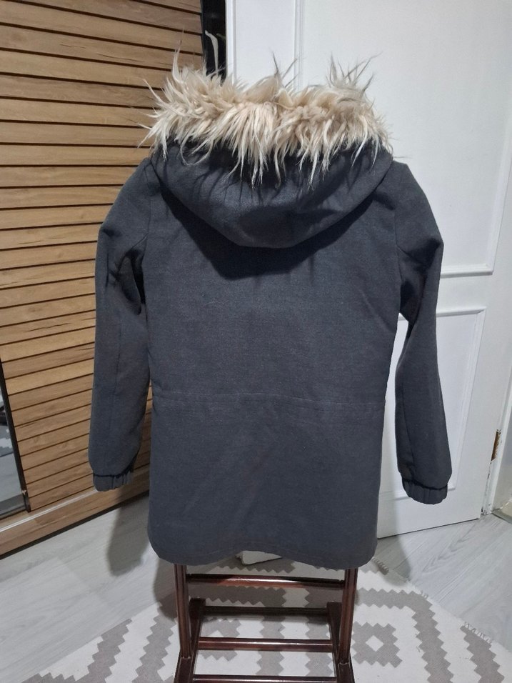 Bayan kaban - Görsel 3