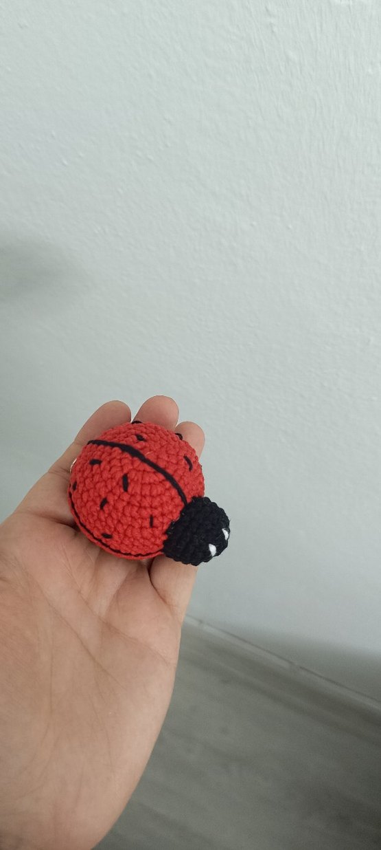 Renkli Örgü Uğur Böceği Anahtarlık - Görsel 4