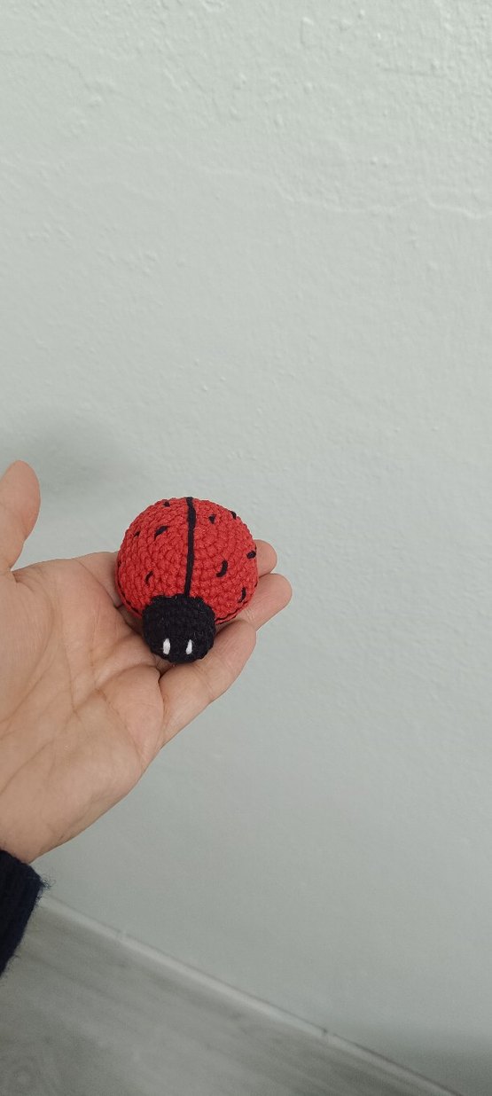 Renkli Örgü Uğur Böceği Anahtarlık - Görsel 3