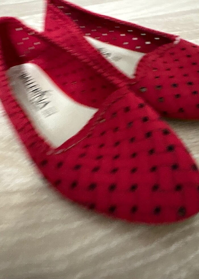 Kırmızı ev babeti - Görsel 2