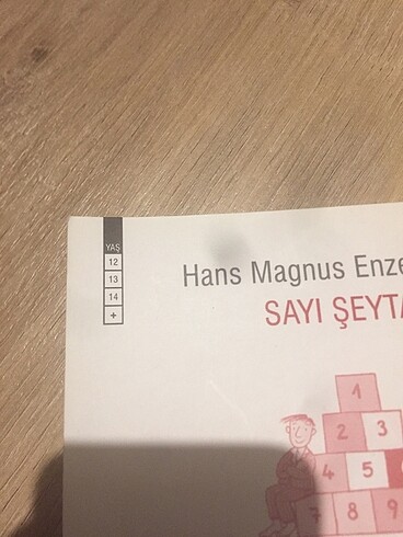Beden Sayı Şeytanı Hans Magnus Enzensberger