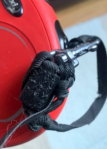 Flexi Köpek Tasma 5 metre - Görsel 4