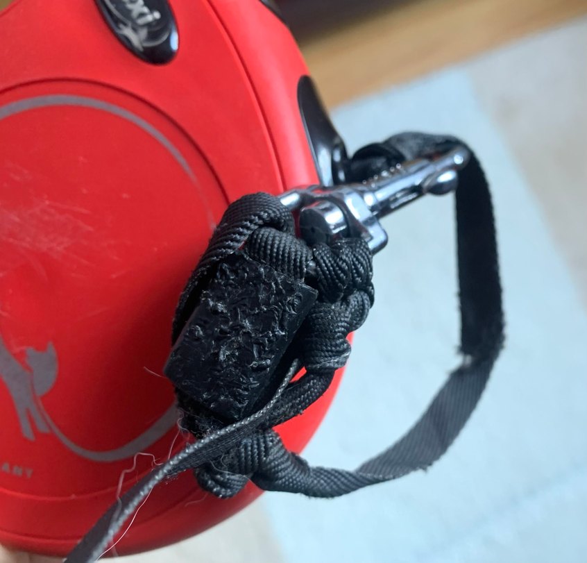 Flexi Köpek Tasma 5 metre - Görsel 4