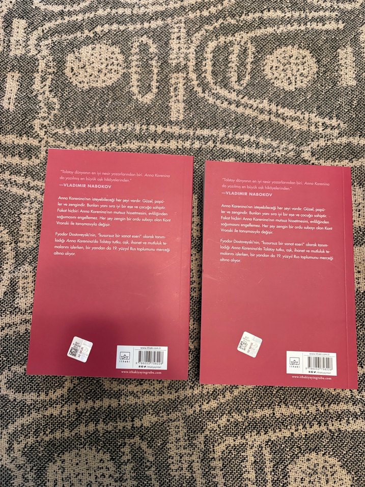 Lev Tolstoy - Anna Karenina Kitabı - Görsel 2