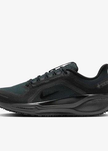 Nike Nike Air Zoom Pegasus 41 Gore-Tex