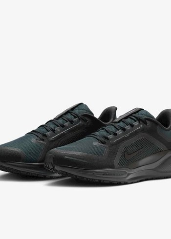 Nike Air Zoom Pegasus 41 Gore-Tex