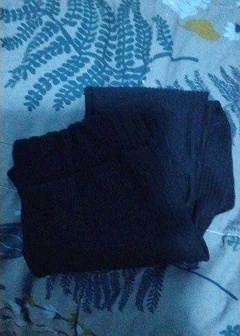 Uzun Siyah  İspanyol paca - Görsel 3