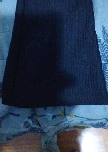 Uzun Siyah  İspanyol paca - Görsel 2