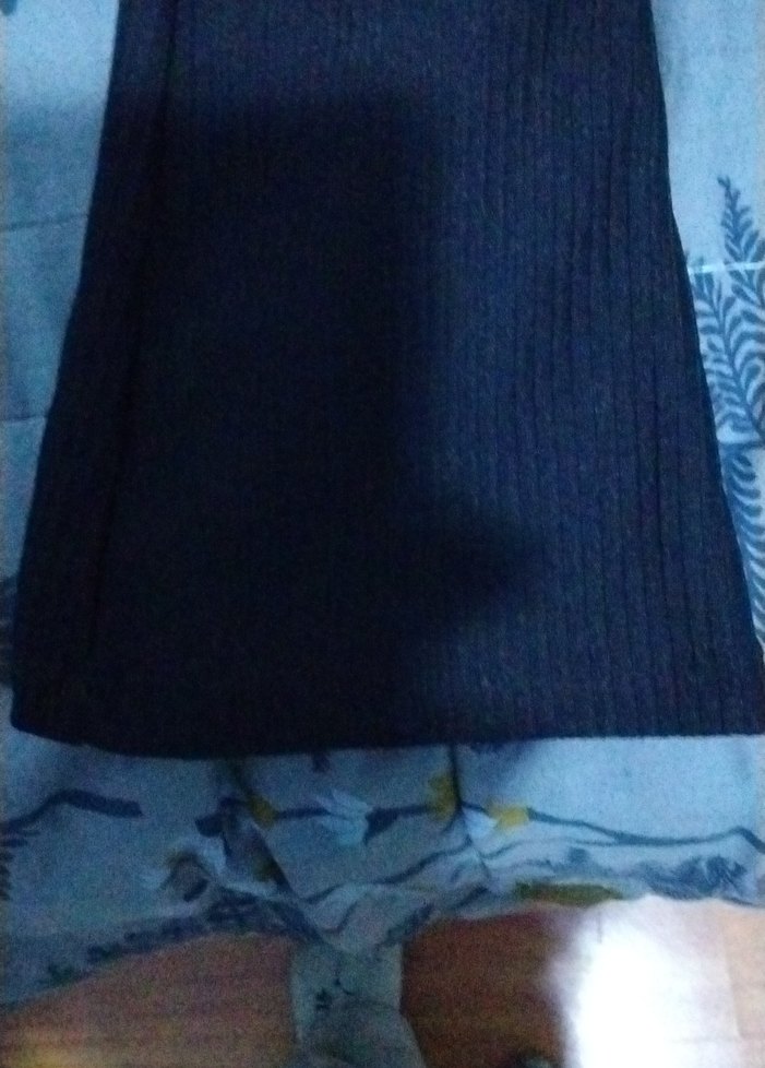 Uzun Siyah  İspanyol paca - Görsel 2