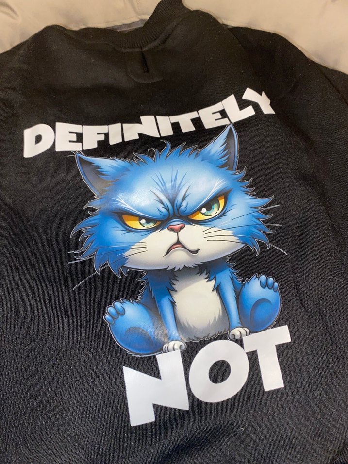 Gri Baskılı Şişme Kedi Kıyafeti - Görsel 4