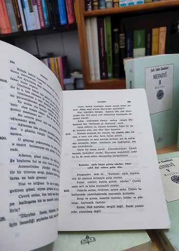 Mesnevi 6 Cilt Takım - MEB - Görsel 3