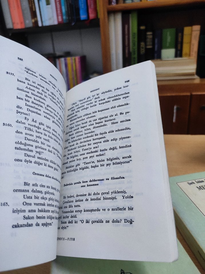 Mesnevi 6 Cilt Takım - MEB - Görsel 5