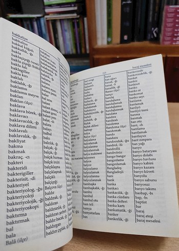 Yazım Kılavuzu - Türk Dil Kurumu - Görsel 4