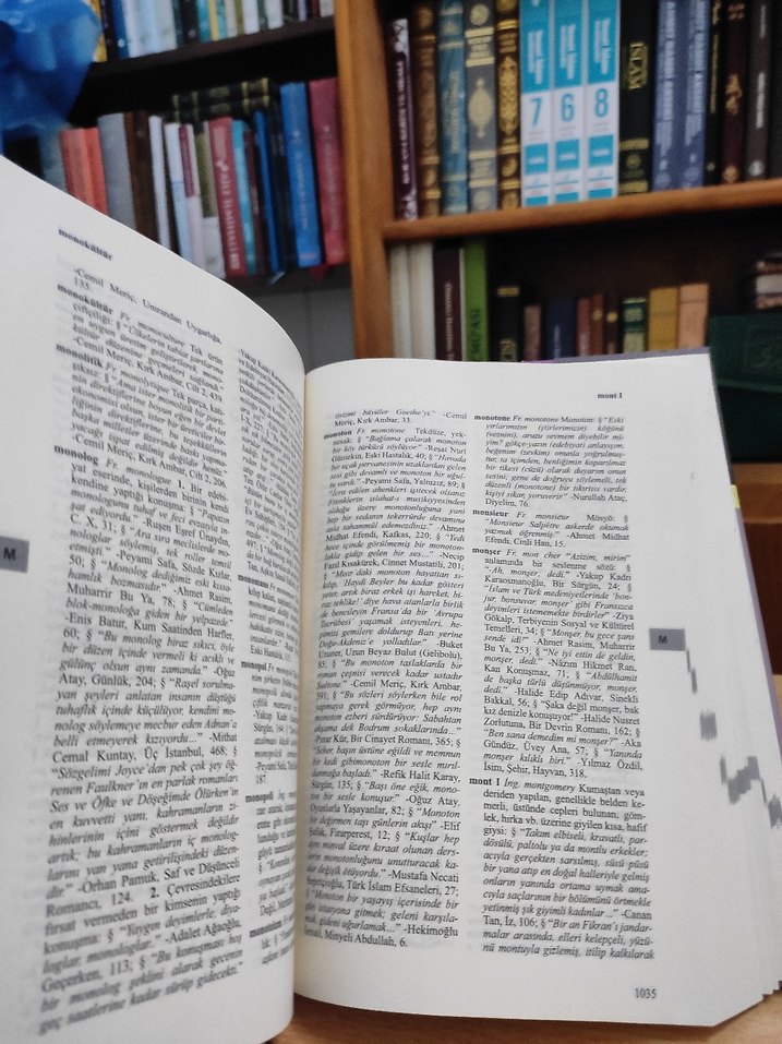 Türkçede Batı Kökenli Kelimeler Sözlüğü - Görsel 4