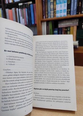 Cahillikler Kitabı - Görsel 6