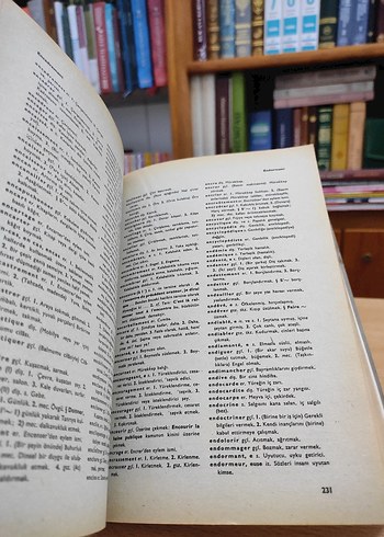 Büyük Fransızca-Türkçe Sözlük - Görsel 3