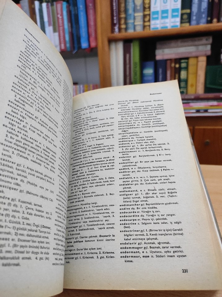 Büyük Fransızca-Türkçe Sözlük - Görsel 3