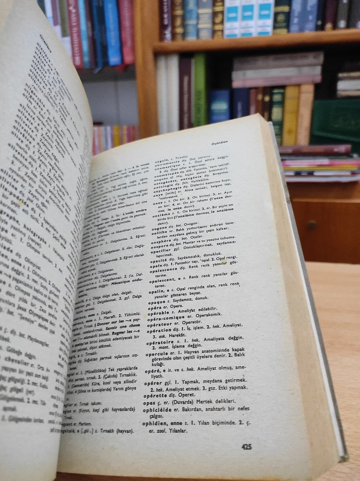 Büyük Fransızca-Türkçe Sözlük - Görsel 2