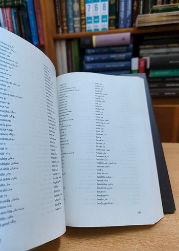 Lugat-i Ni'metu'llah - Görsel 6