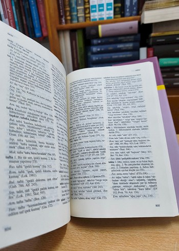 Türkçe Verintiler Sözlüğü TDK - Görsel 2