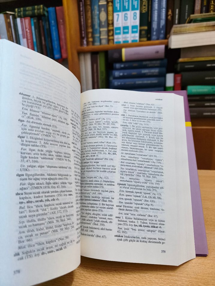 Türkçe Verintiler Sözlüğü TDK - Görsel 4