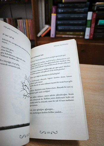 Elif Gibi Sevmek 2 - Hikmet Anıl Öztekın - Görsel 3