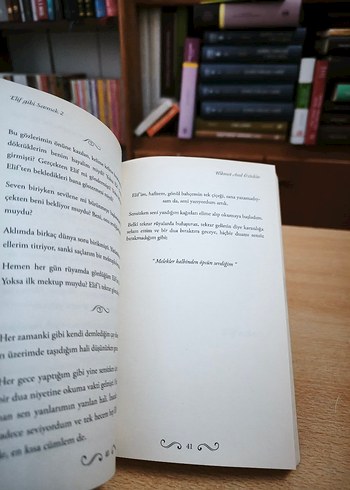 Elif Gibi Sevmek 2 - Hikmet Anıl Öztekın - Görsel 5