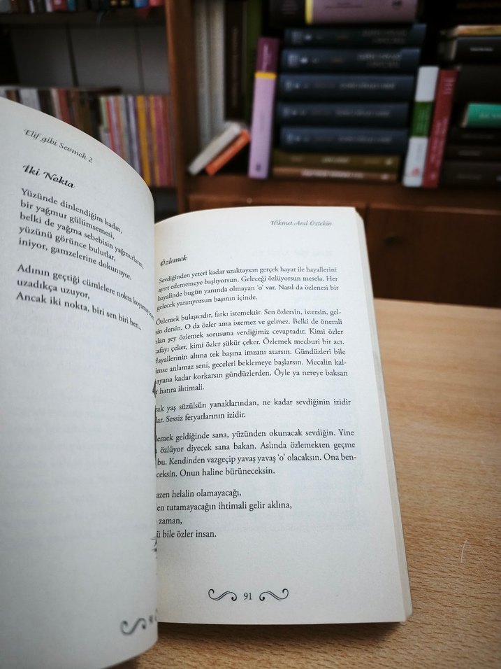 Elif Gibi Sevmek 2 - Hikmet Anıl Öztekın - Görsel 4