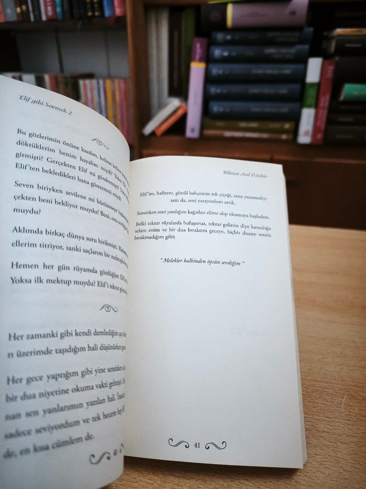 Elif Gibi Sevmek 2 - Hikmet Anıl Öztekın - Görsel 5