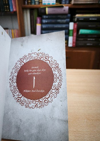 Elif Gibi Sevmek - Hikmet Anıl Öztekin - Görsel 6