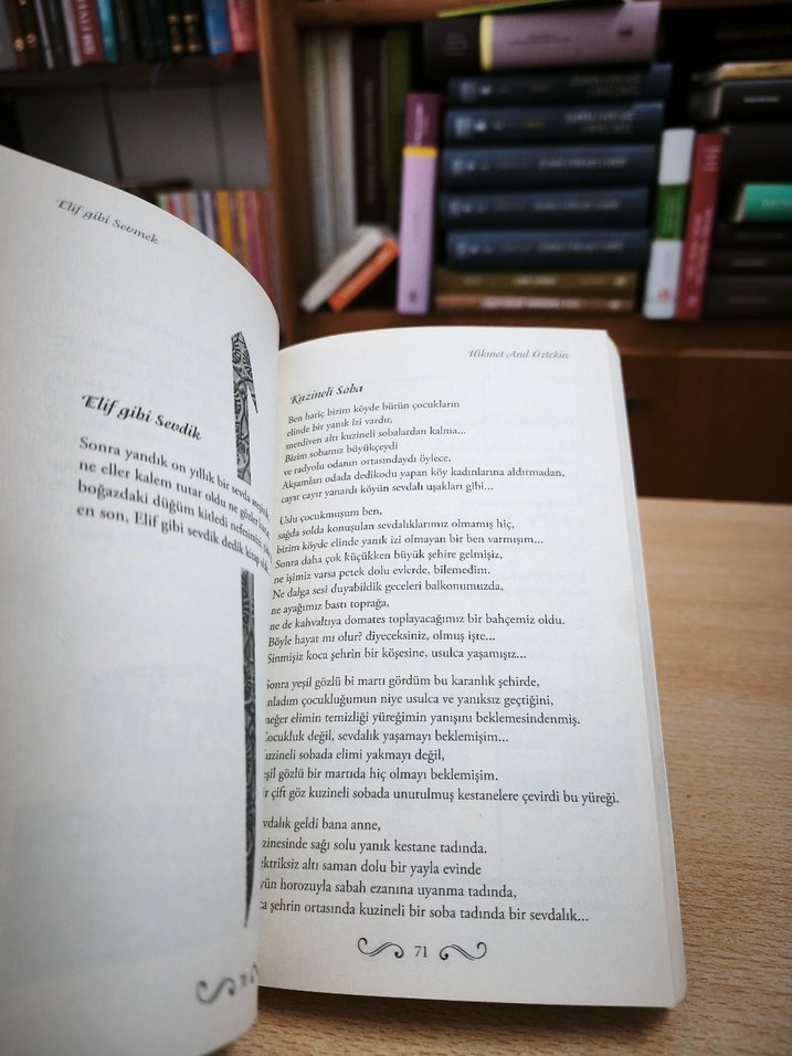 Elif Gibi Sevmek - Hikmet Anıl Öztekin - Görsel 4