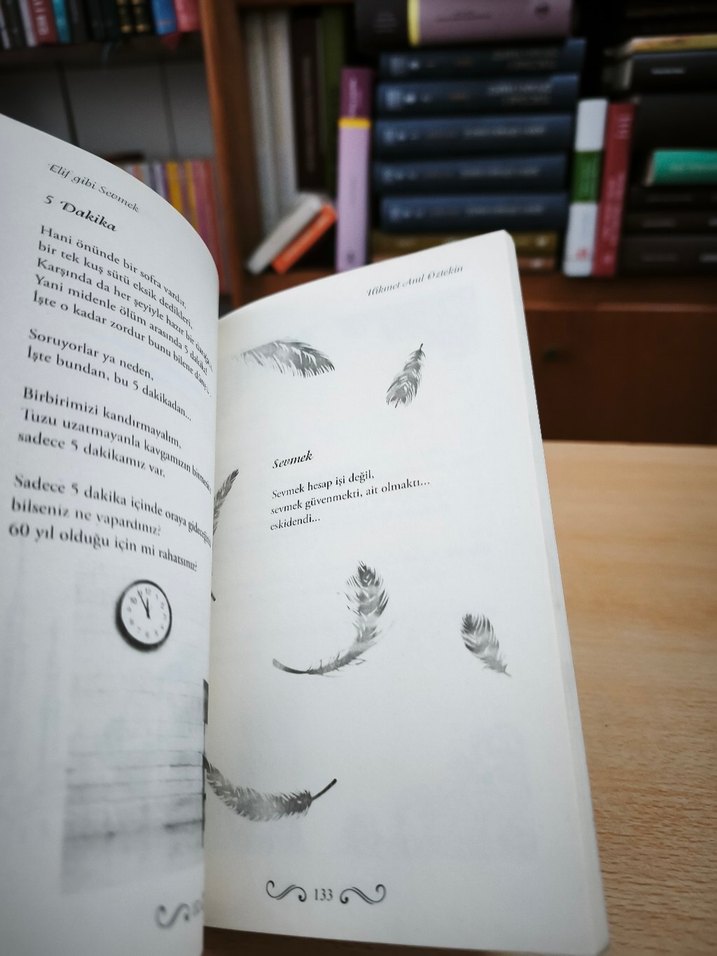 Elif Gibi Sevmek - Hikmet Anıl Öztekin - Görsel 3