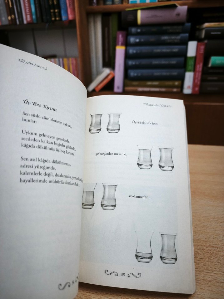 Elif Gibi Sevmek - Hikmet Anıl Öztekin - Görsel 5