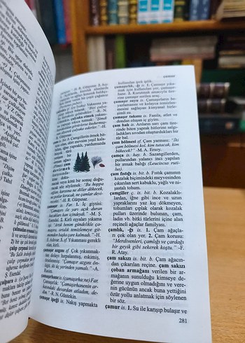 Resimli Okul Sözlüğü - Görsel 5