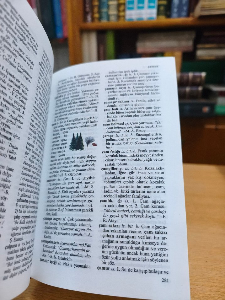 Resimli Okul Sözlüğü - Görsel 5