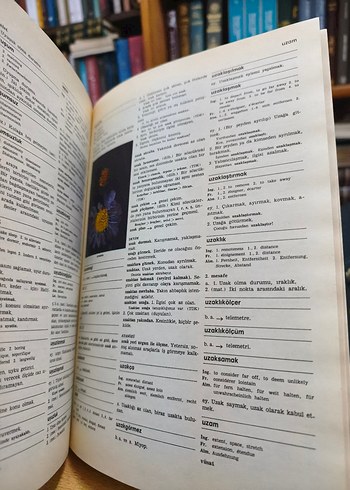 Resimli Ansiklopedik Büyük Sözlük 10 Cilt Takım - Görsel 10