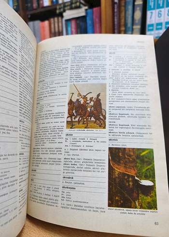 Resimli Ansiklopedik Büyük Sözlük 10 Cilt Takım - Görsel 4