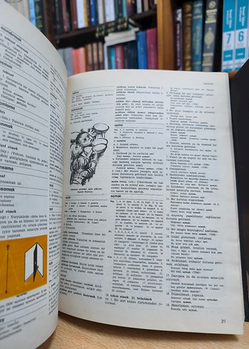 Resimli Ansiklopedik Büyük Sözlük 10 Cilt Takım - Görsel 5