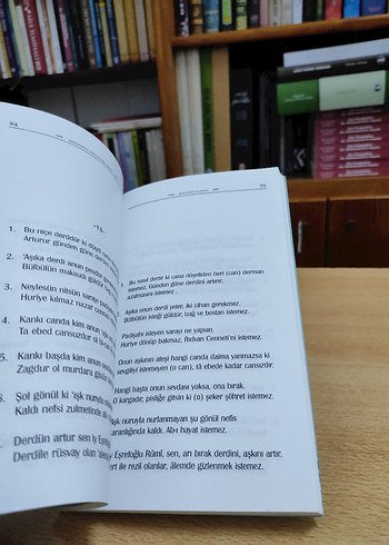 Eşrefoğlu Rûmî - Halk Edebiyatı Serisi - Görsel 4