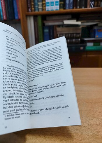 Ömer Seyfettin - Kaşağı - Görsel 5