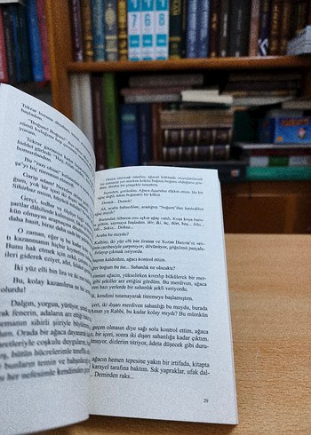 Define ve Kan Damlası - Mehmet Rauf - Görsel 5