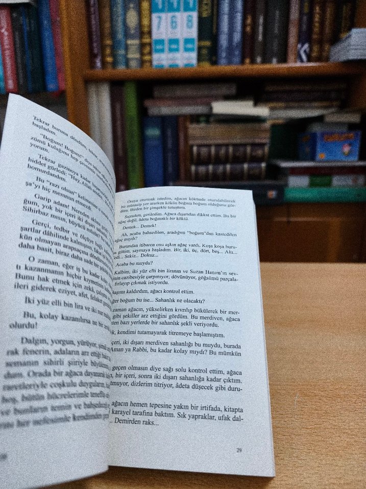 Define ve Kan Damlası - Mehmet Rauf - Görsel 5