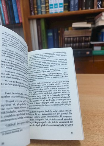 Sabahattin Ali - Değirmen - Görsel 5