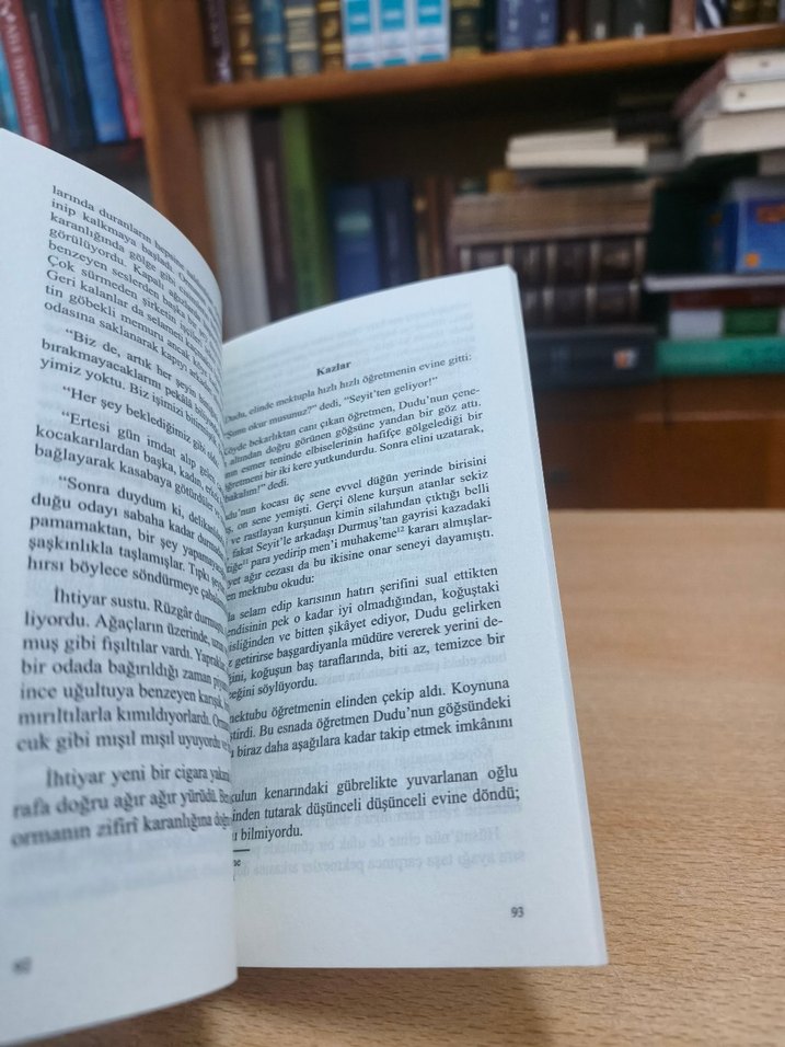 Sabahattin Ali - Değirmen - Görsel 4