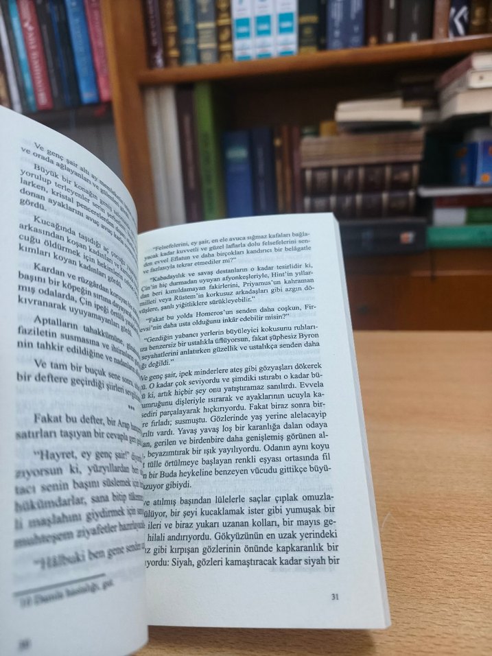 Sabahattin Ali - Değirmen - Görsel 5