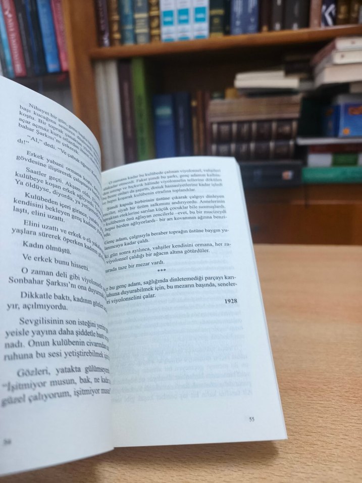 Sabahattin Ali - Değirmen - Görsel 3